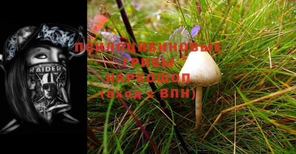 спиды Белокуриха