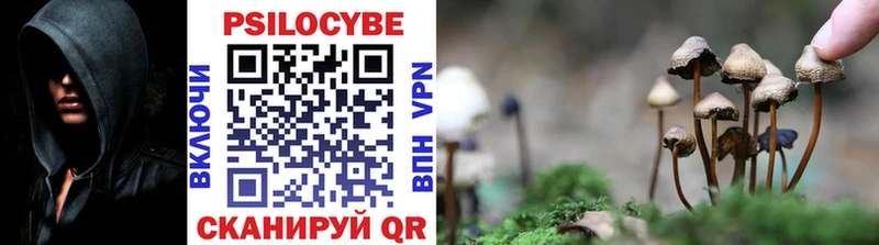 Купить Кировград Галлюциногенные грибы прущие грибы